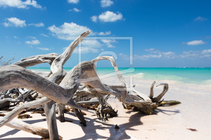 frei wählbarer Bildausschnitt für Ihr Bild auf Glas-Schneidebrett