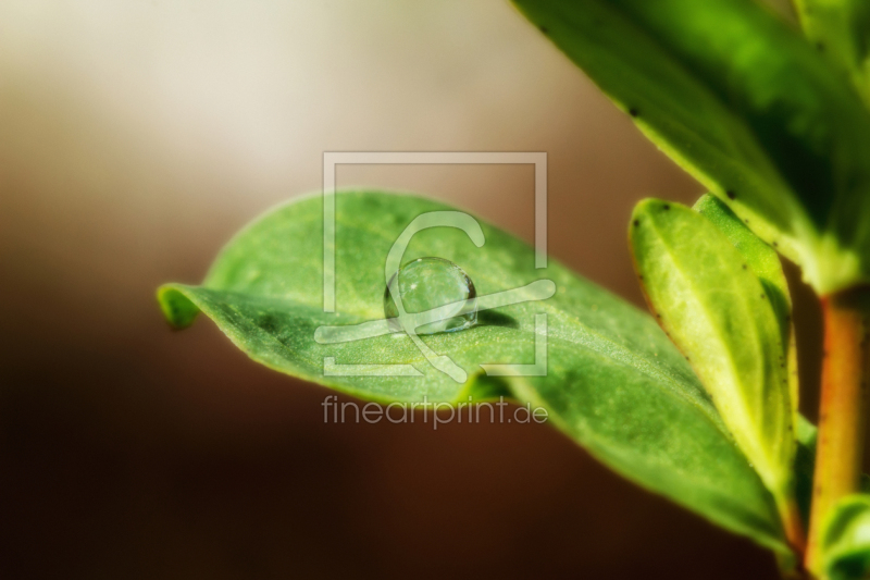 frei w&auml;hlbarer Bildausschnitt f&uuml;r Ihr Bild auf Glas-Schneidebrett