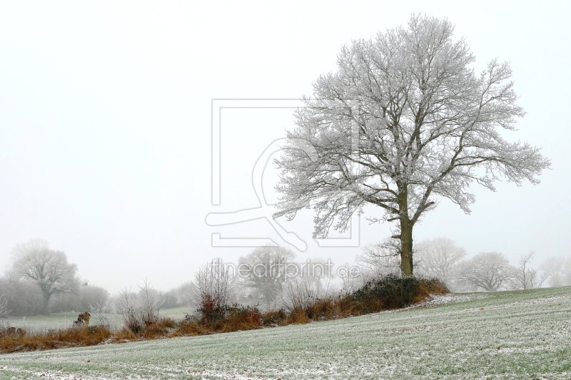 frei wählbarer Bildausschnitt für Ihr Bild auf Glas-Schneidebrett