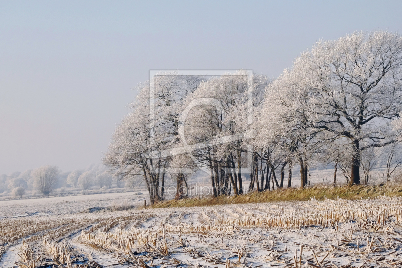 frei wählbarer Bildausschnitt für Ihr Bild auf Glas-Schneidebrett
