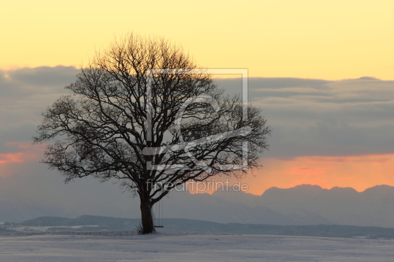 frei wählbarer Bildausschnitt für Ihr Bild auf Glas-Schneidebrett