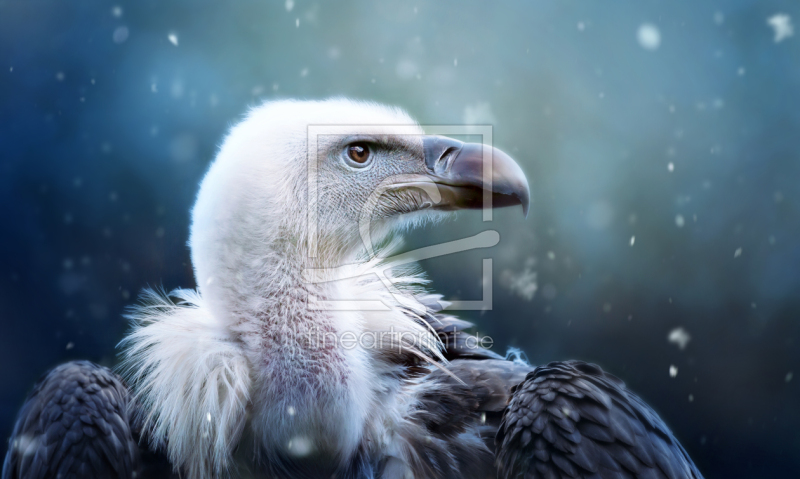 frei w&auml;hlbarer Bildausschnitt f&uuml;r Ihr Bild auf Glas-Schneidebrett