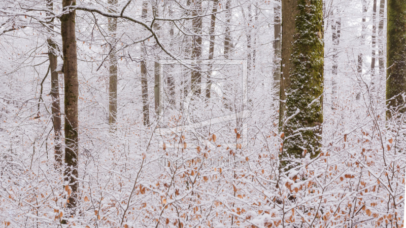 frei wählbarer Bildausschnitt für Ihr Bild auf Glas-Schneidebrett