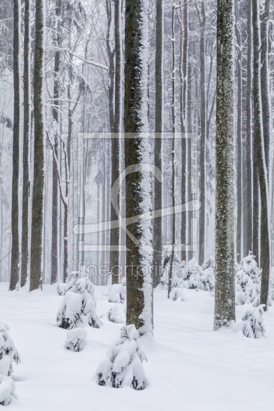 frei wählbarer Bildausschnitt für Ihr Bild auf Glas-Schneidebrett