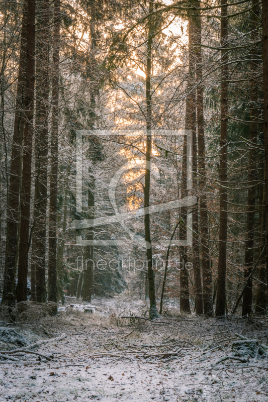 frei wählbarer Bildausschnitt für Ihr Bild auf Glas-Schneidebrett
