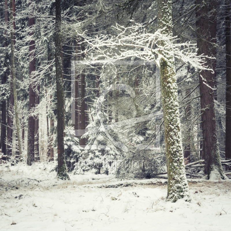 frei wählbarer Bildausschnitt für Ihr Bild auf Glas-Schneidebrett