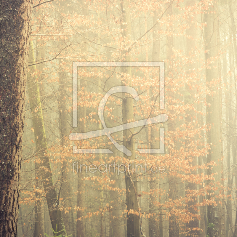 frei wählbarer Bildausschnitt für Ihr Bild auf Glas-Schneidebrett