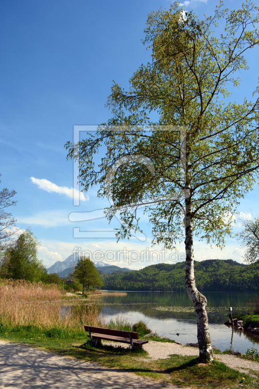 frei wählbarer Bildausschnitt für Ihr Bild auf Glas-Schneidebrett