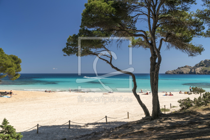 frei w&auml;hlbarer Bildausschnitt f&uuml;r Ihr Bild auf Glas-Schneidebrett