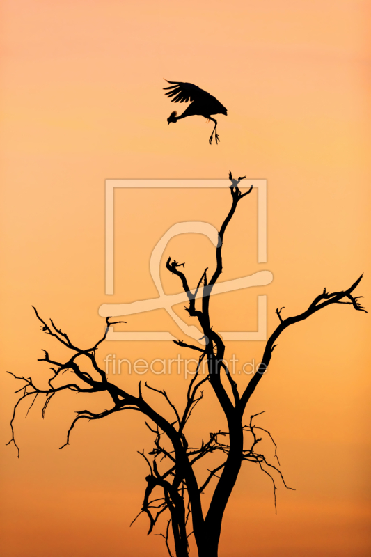 frei wählbarer Bildausschnitt für Ihr Bild auf Glas-Schneidebrett