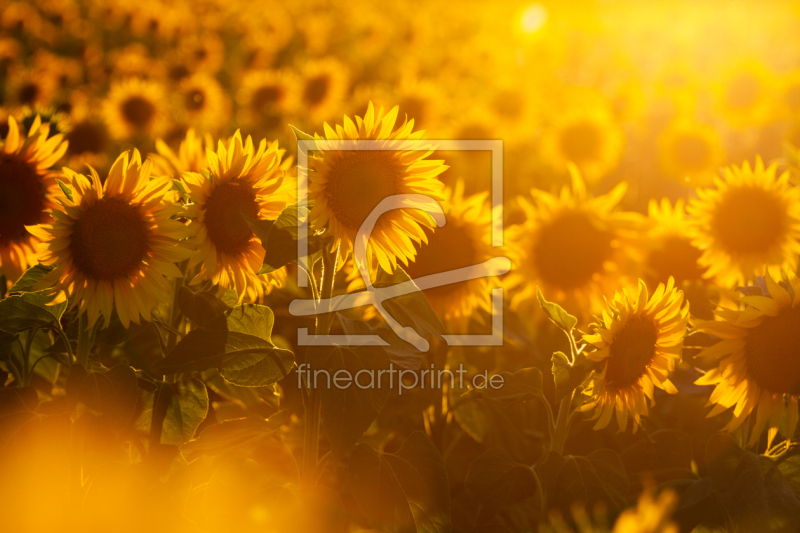 frei w&auml;hlbarer Bildausschnitt f&uuml;r Ihr Bild auf Glas-Schneidebrett