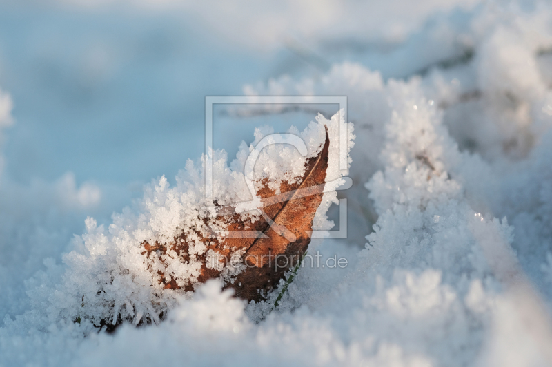 frei wählbarer Bildausschnitt für Ihr Bild auf Glas-Schneidebrett