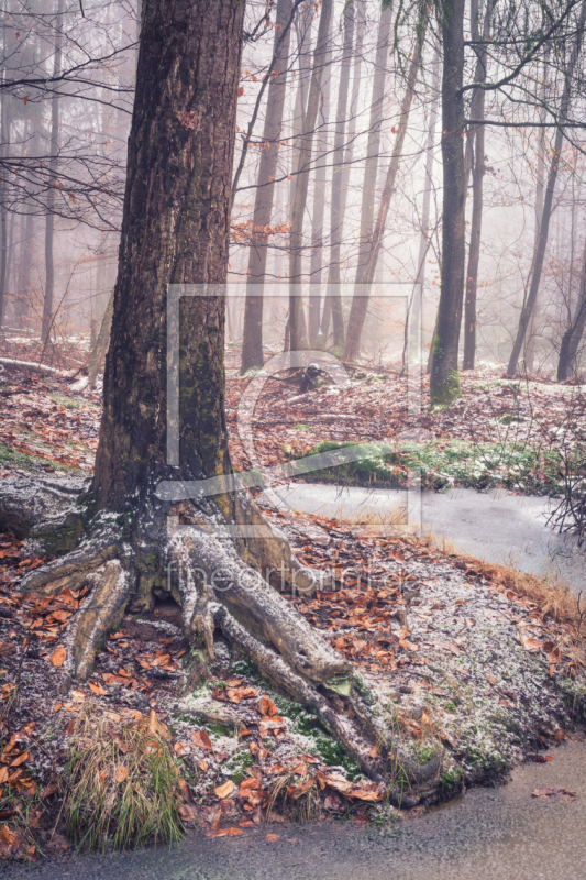 frei wählbarer Bildausschnitt für Ihr Bild auf Glas-Schneidebrett