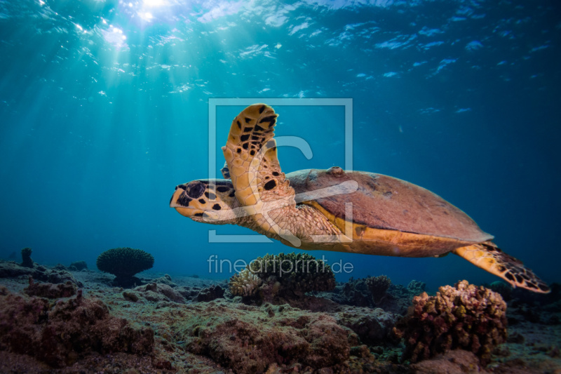frei wählbarer Bildausschnitt für Ihr Bild auf Glas-Schneidebrett