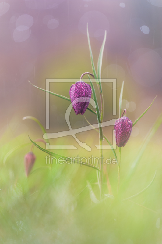 frei wählbarer Bildausschnitt für Ihr Bild auf Glas-Schneidebrett