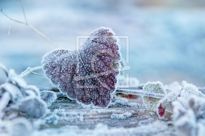 frei wählbarer Bildausschnitt für Ihr Bild auf Glas-Schneidebrett