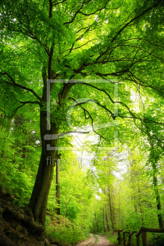 frei wählbarer Bildausschnitt für Ihr Bild auf Glas-Schneidebrett