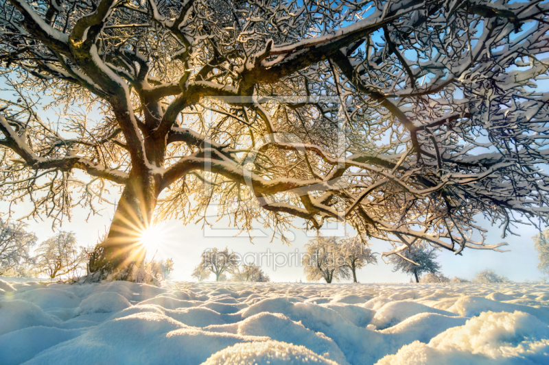 frei wählbarer Bildausschnitt für Ihr Bild auf Glas-Schneidebrett