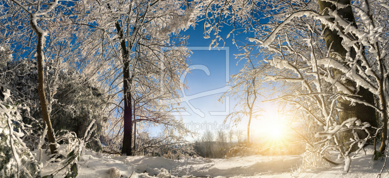 frei wählbarer Bildausschnitt für Ihr Bild auf Glas-Schneidebrett