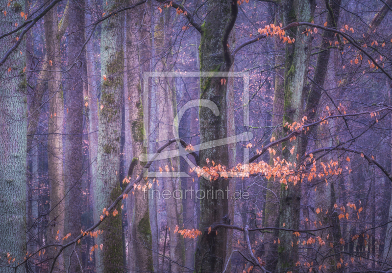 frei wählbarer Bildausschnitt für Ihr Bild auf Glas-Schneidebrett