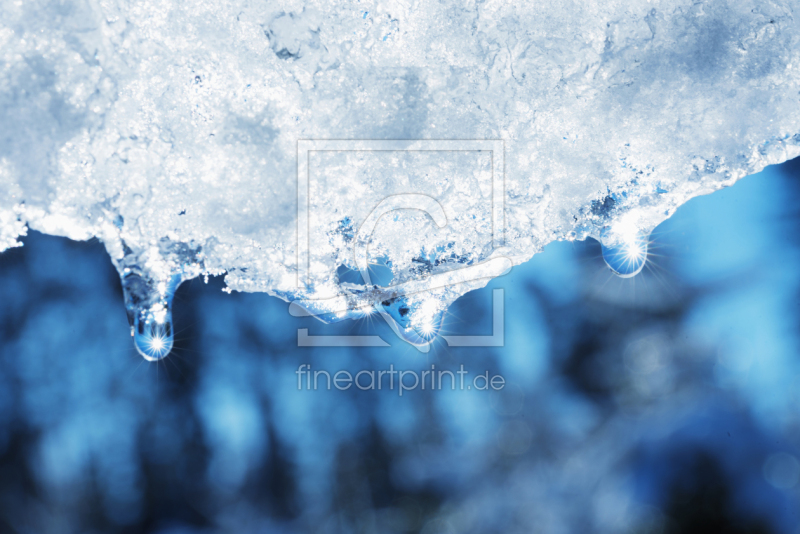 frei wählbarer Bildausschnitt für Ihr Bild auf Glas-Schneidebrett