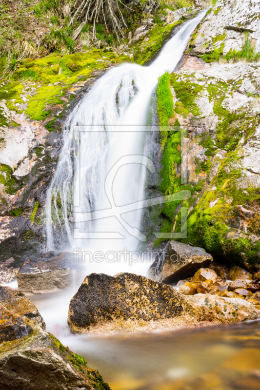 frei wählbarer Bildausschnitt für Ihr Bild auf Glas-Schneidebrett