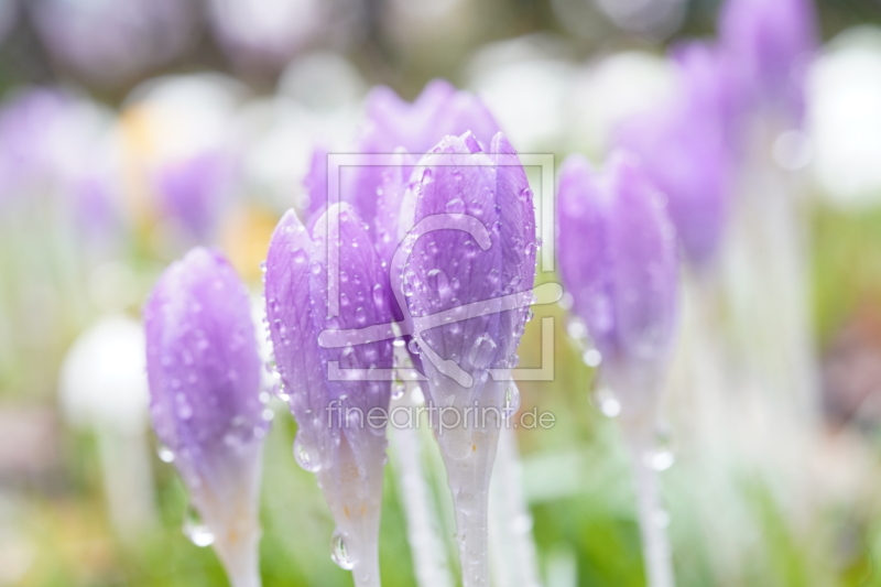 frei wählbarer Bildausschnitt für Ihr Bild auf Glas-Schneidebrett