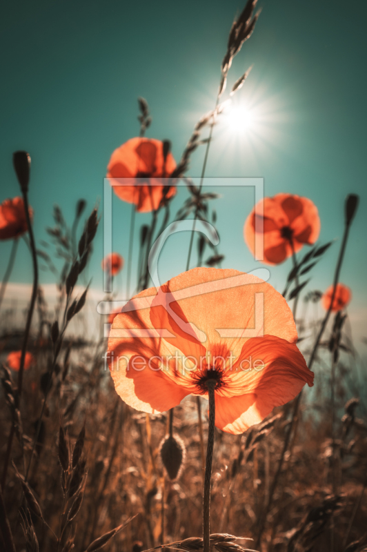 frei wählbarer Bildausschnitt für Ihr Bild auf Glas-Schneidebrett