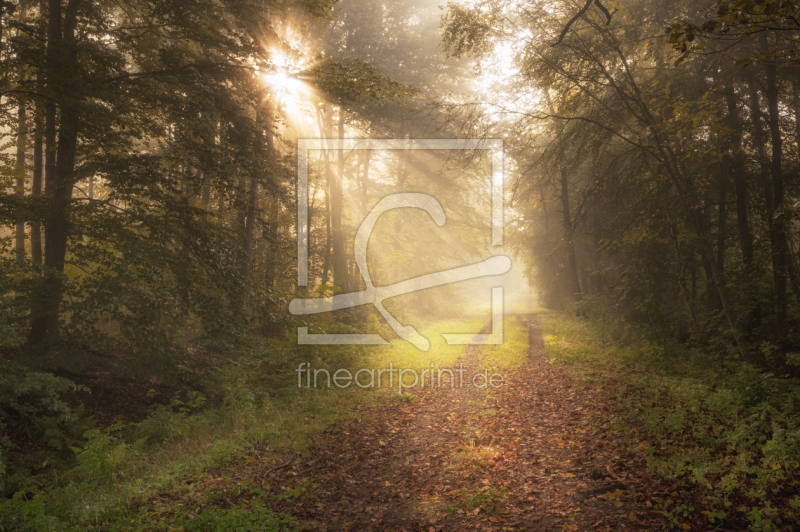 frei wählbarer Bildausschnitt für Ihr Bild auf Glas-Schneidebrett