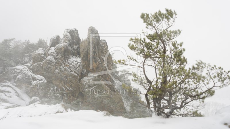 frei wählbarer Bildausschnitt für Ihr Bild auf Glas-Schneidebrett