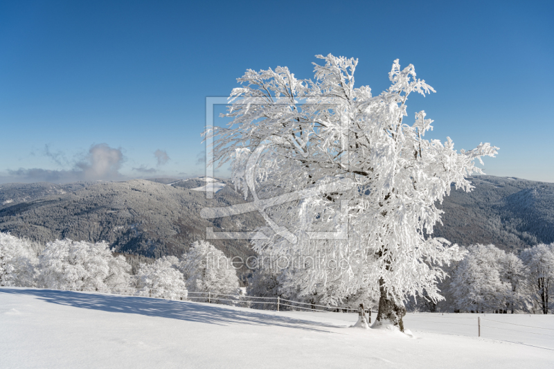 frei wählbarer Bildausschnitt für Ihr Bild auf Glas-Schneidebrett