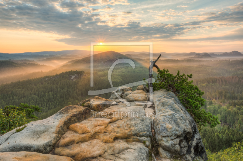 frei w&auml;hlbarer Bildausschnitt f&uuml;r Ihr Bild auf Glas-Schneidebrett