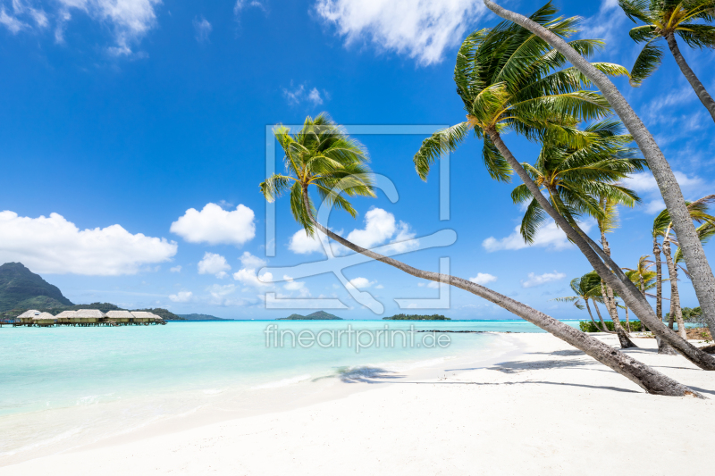 frei wählbarer Bildausschnitt für Ihr Bild auf Glas-Schneidebrett