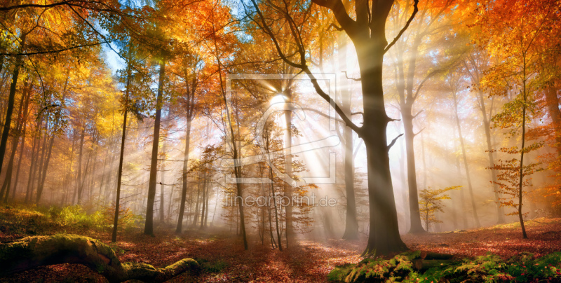 frei wählbarer Bildausschnitt für Ihr Bild auf Glas-Schneidebrett