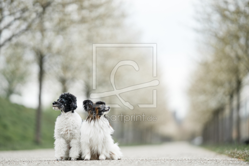 frei wählbarer Bildausschnitt für Ihr Bild auf Glas-Schneidebrett