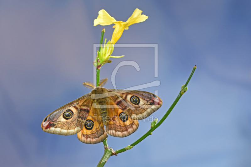 frei w&auml;hlbarer Bildausschnitt f&uuml;r Ihr Bild auf Glas-Schneidebrett