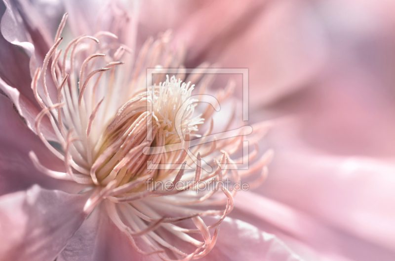 frei w&auml;hlbarer Bildausschnitt f&uuml;r Ihr Bild auf Glas-Schneidebrett