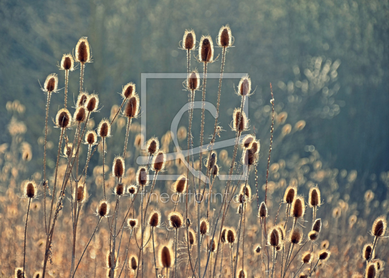 frei w&auml;hlbarer Bildausschnitt f&uuml;r Ihr Bild auf Glas-Schneidebrett