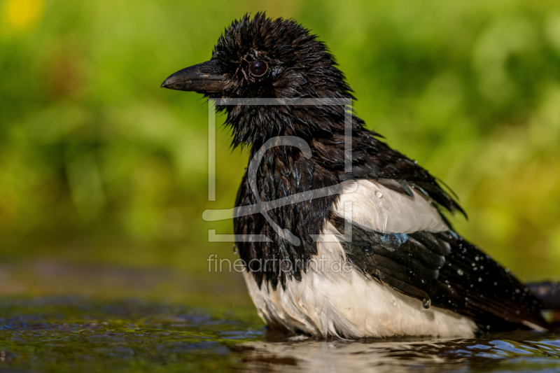 frei w&auml;hlbarer Bildausschnitt f&uuml;r Ihr Bild auf Glas-Schneidebrett