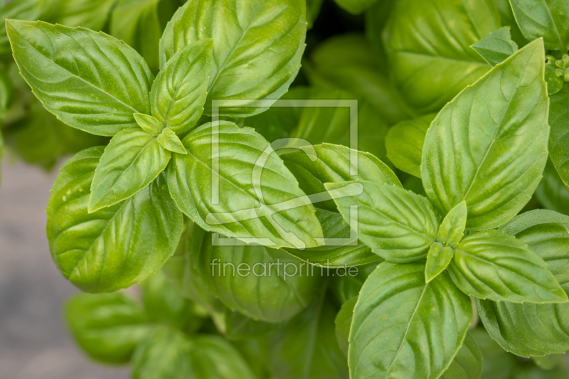 frei w&auml;hlbarer Bildausschnitt f&uuml;r Ihr Bild auf Glas-Schneidebrett