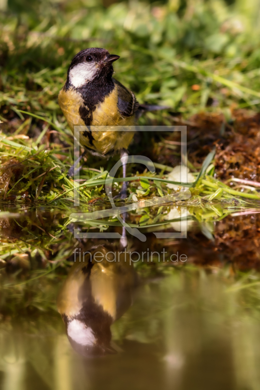 frei wählbarer Bildausschnitt für Ihr Bild auf Glas-Schneidebrett