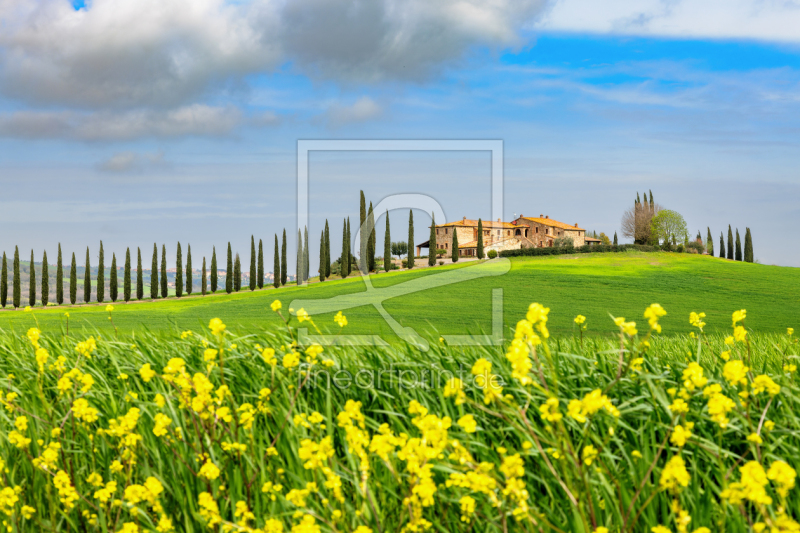 frei wählbarer Bildausschnitt für Ihr Bild auf Glas-Schneidebrett