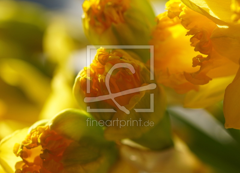 frei wählbarer Bildausschnitt für Ihr Bild auf Glas-Schneidebrett