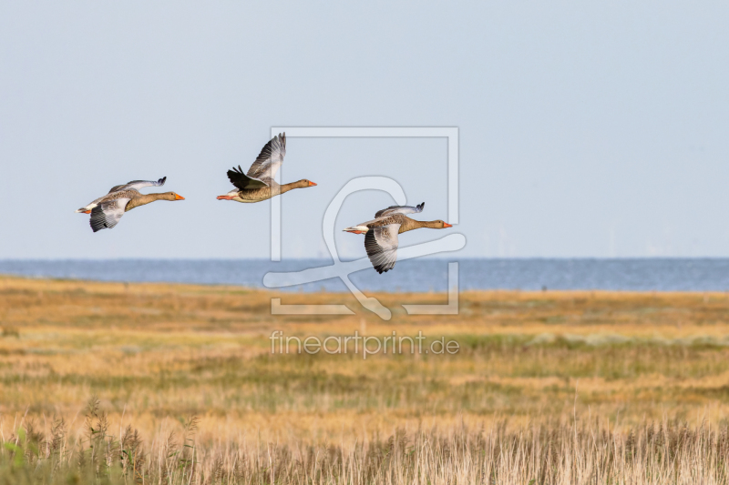 frei w&auml;hlbarer Bildausschnitt f&uuml;r Ihr Bild auf Glas-Schneidebrett