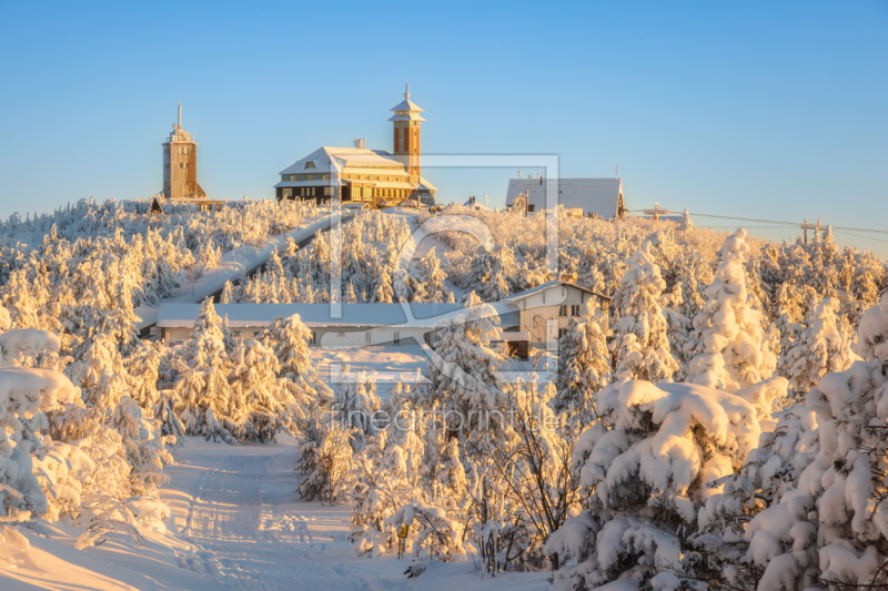 frei wählbarer Bildausschnitt für Ihr Bild auf Glas-Schneidebrett