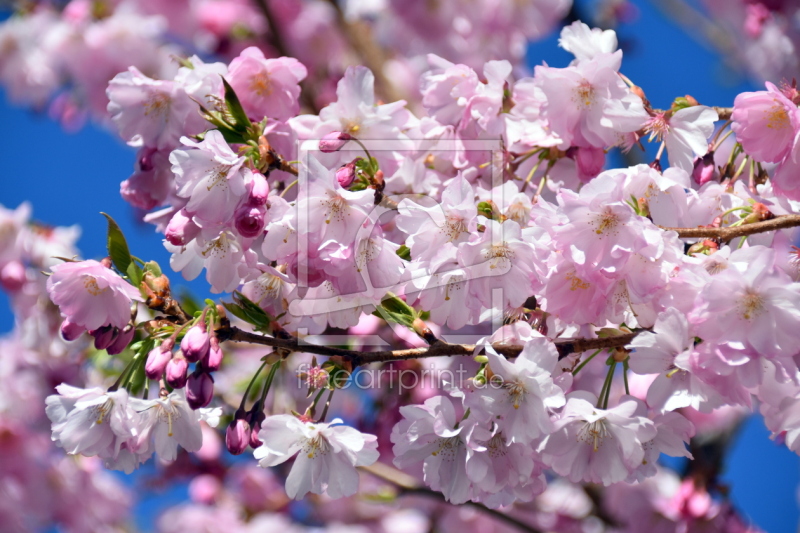 frei w&auml;hlbarer Bildausschnitt f&uuml;r Ihr Bild auf Glas-Schneidebrett