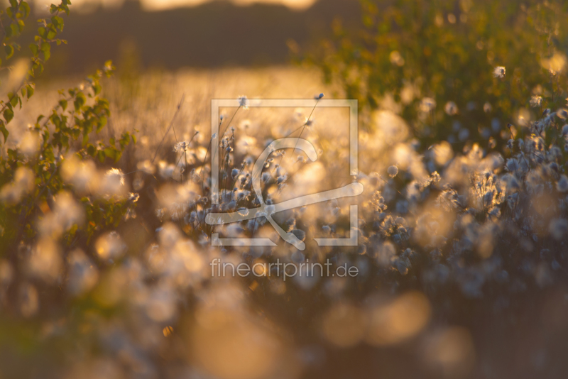 frei w&auml;hlbarer Bildausschnitt f&uuml;r Ihr Bild auf Glas-Schneidebrett