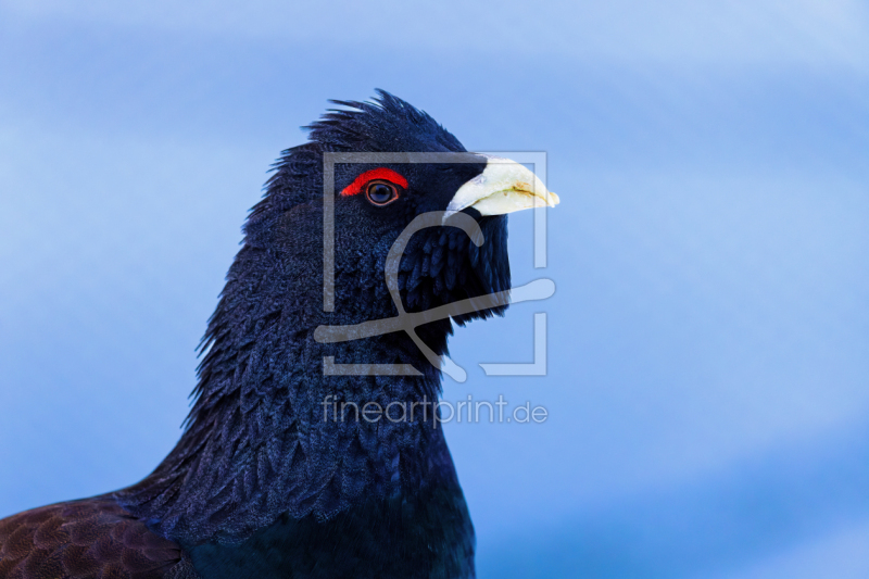 frei wählbarer Bildausschnitt für Ihr Bild auf Glas-Schneidebrett