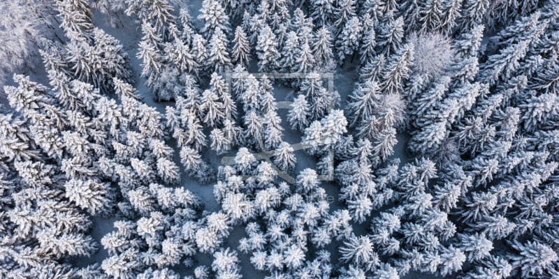 frei wählbarer Bildausschnitt für Ihr Bild auf Glas-Schneidebrett