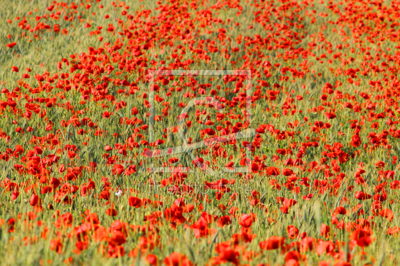 frei w&auml;hlbarer Bildausschnitt f&uuml;r Ihr Bild auf Glas-Schneidebrett